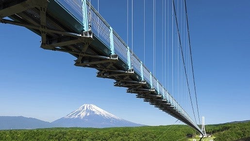<Web割対象商品>【キングツアーバス旅】富士を望む大吊橋と三嶋大社「桜のトンネル」 金目鯛御膳&いちご狩り〔吉祥寺・調布発〕2